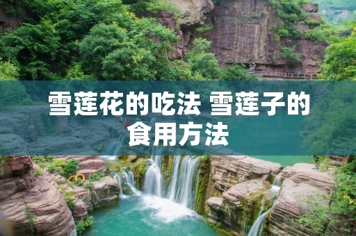 雪莲花的吃法 雪莲子的食用方法