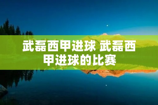 武磊西甲进球 武磊西甲进球的比赛