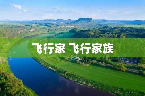 飞行家 飞行家族 飞行家 飞行家族