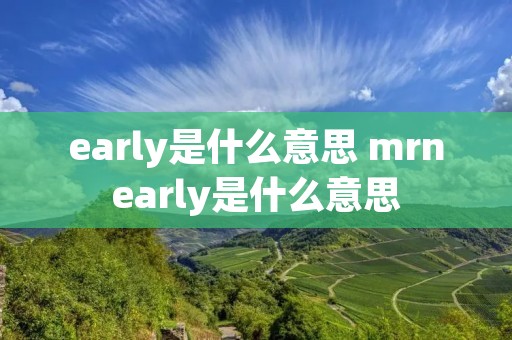early是什么意思 mrnearly是什么意思