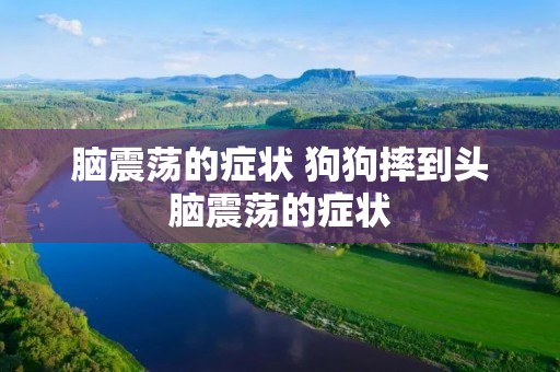 脑震荡的症状 狗狗摔到头脑震荡的症状 脑震荡的症状 狗狗摔到头脑震荡的症状