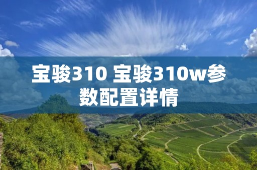 宝骏310 宝骏310w参数配置详情