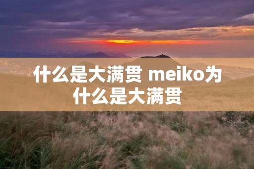 什么是大满贯 meiko为什么是大满贯