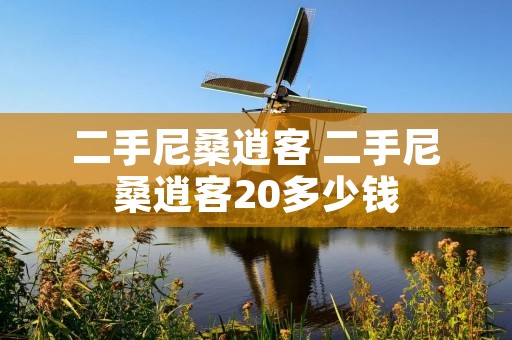 二手尼桑逍客 二手尼桑逍客20多少钱 二手尼桑逍客 二手尼桑逍客20多少钱