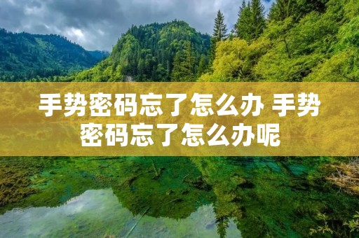 手势密码忘了怎么办 手势密码忘了怎么办呢