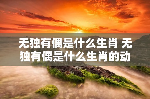 无独有偶是什么生肖 无独有偶是什么生肖的动物