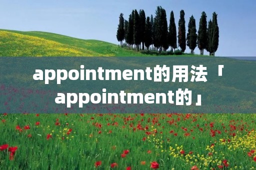 appointment的用法「appointment的」 appointment的用法「appointment的」