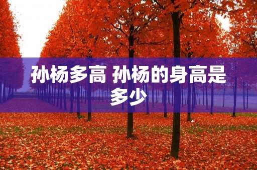 孙杨多高 孙杨的身高是多少