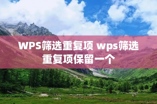 WPS筛选重复项 wps筛选重复项保留一个