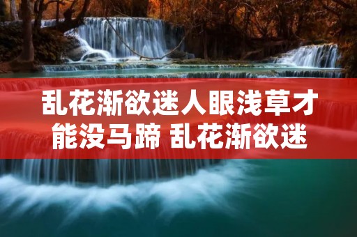 乱花渐欲迷人眼浅草才能没马蹄 乱花渐欲迷人眼浅草才能没马蹄中草的特点