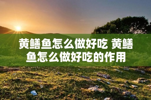 黄鳝鱼怎么做好吃 黄鳝鱼怎么做好吃的作用