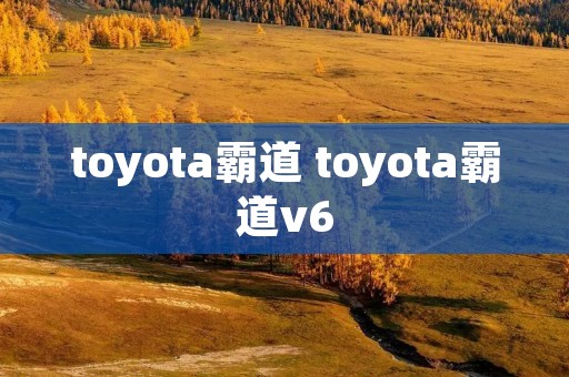 toyota霸道 toyota霸道v6