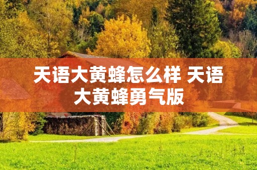 天语大黄蜂怎么样 天语大黄蜂勇气版