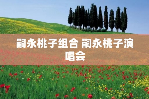 嗣永桃子组合 嗣永桃子演唱会