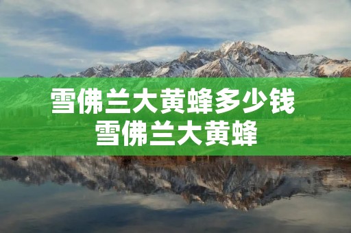 雪佛兰大黄蜂多少钱 雪佛兰大黄蜂 雪佛兰大黄蜂多少钱 雪佛兰大黄蜂