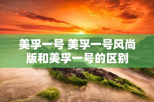 美孚一号 美孚一号风尚版和美孚一号的区别