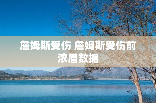 詹姆斯受伤 詹姆斯受伤前浓眉数据 詹姆斯受伤 詹姆斯受伤前浓眉数据