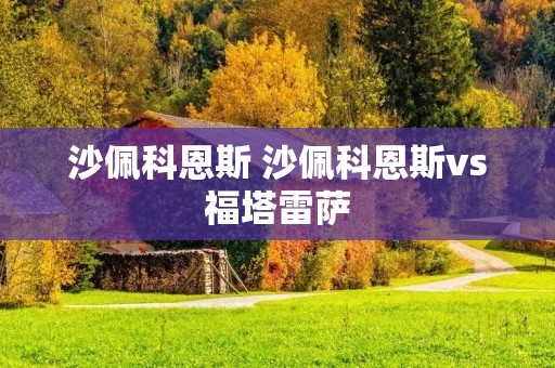 沙佩科恩斯 沙佩科恩斯vs福塔雷萨 沙佩科恩斯 沙佩科恩斯vs福塔雷萨