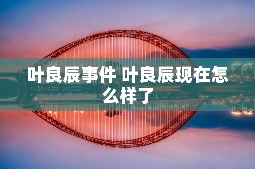 叶良辰事件 叶良辰现在怎么样了