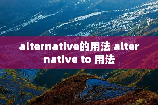 alternative的用法 alternative to 用法