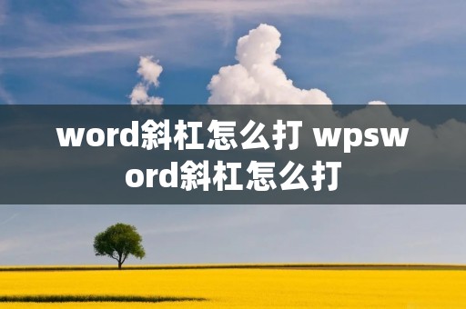 word斜杠怎么打 wpsword斜杠怎么打