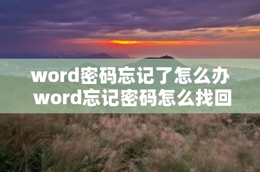 word密码忘记了怎么办 word忘记密码怎么找回