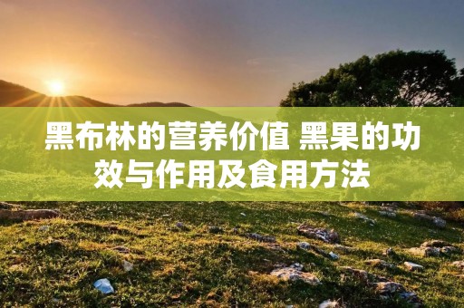 黑布林的营养价值 黑果的功效与作用及食用方法