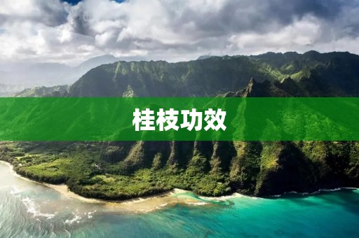桂枝功效:了解桂枝的药理作用及其益处 桂枝功效:了解桂枝的药理作用及其益处