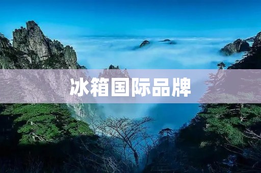 冰箱国际品牌：如何选择最适合你的冰箱？