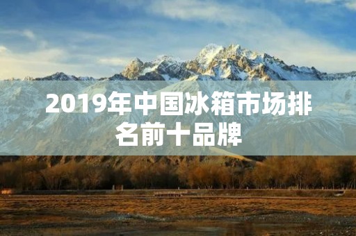 2019年中国冰箱市场排名前十品牌