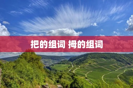 把的组词 拇的组词