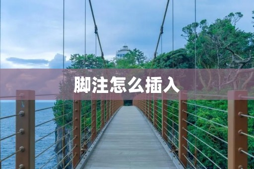 脚注怎么插入 脚注怎么插入