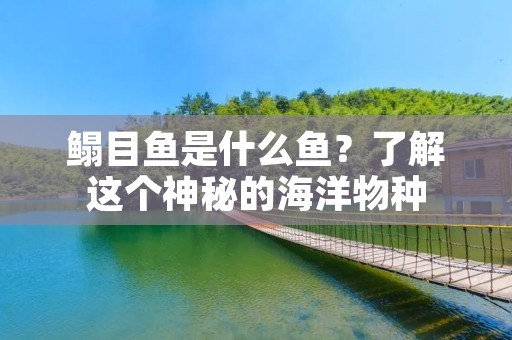 鳎目鱼是什么鱼?了解这个神秘的海洋物种