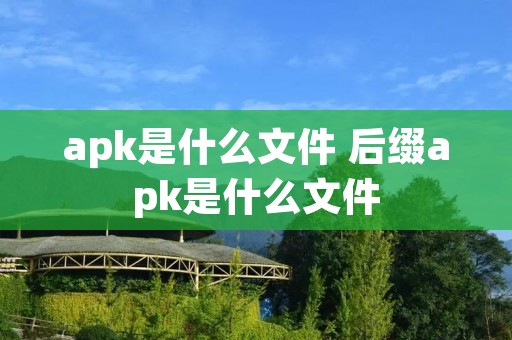 apk是什么文件 后缀apk是什么文件