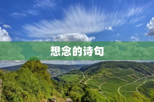 想念的诗句