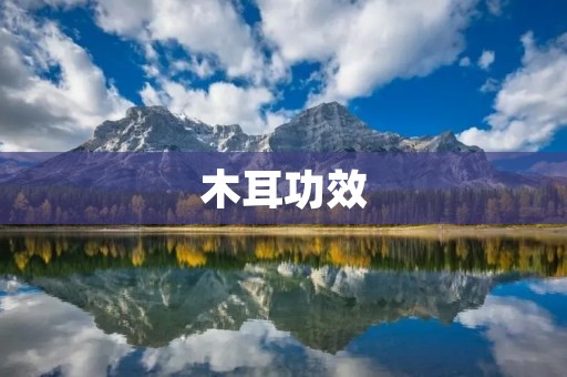 木耳功效：食用木耳的好处及注意事项