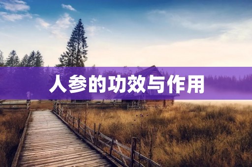人参的功效与作用 人参的功效与作用