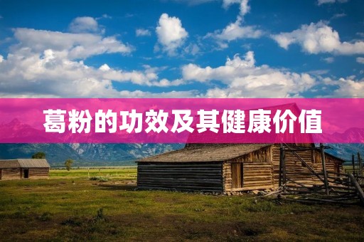 葛粉的功效及其健康价值 葛粉的功效及其健康价值