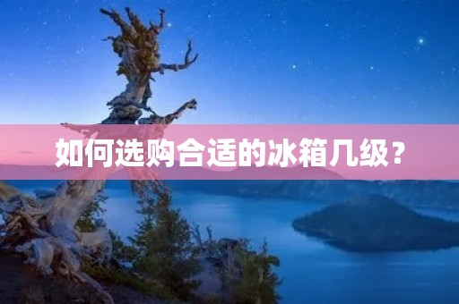 如何选购合适的冰箱几级？