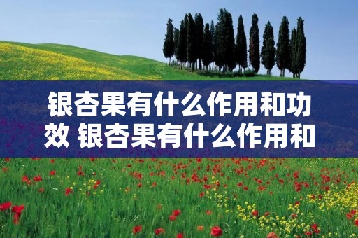 银杏果有什么作用和功效 银杏果有什么作用和功效视频讲解 银杏果有什么作用和功效 银杏果有什么作用和功效视频讲解