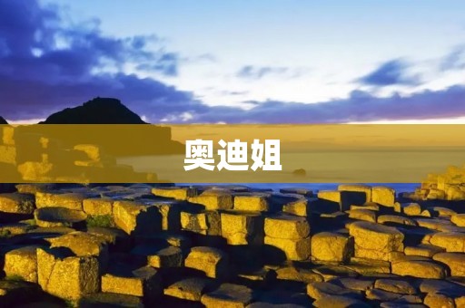 奥迪姐：从女教练到赛车手的华丽转身