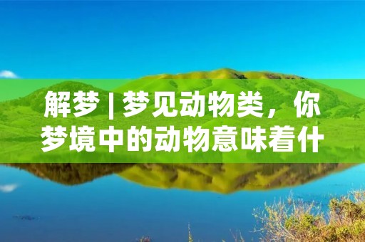 解梦 | 梦见动物类,你梦境中的动物意味着什么?