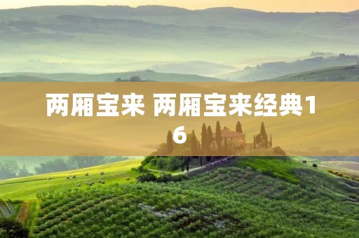 两厢宝来 两厢宝来经典16 两厢宝来 两厢宝来经典16