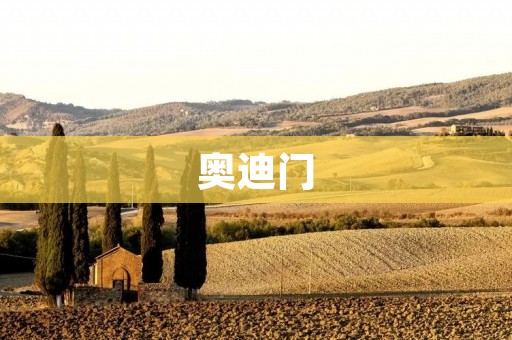 奥迪门:设计精良,安全可靠的车门 奥迪门:设计精良,安全可靠的车门