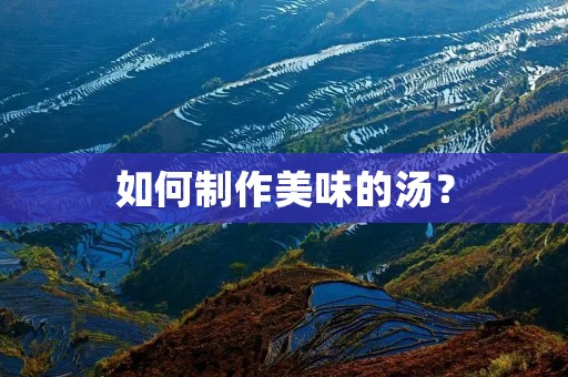 如何制作美味的汤？