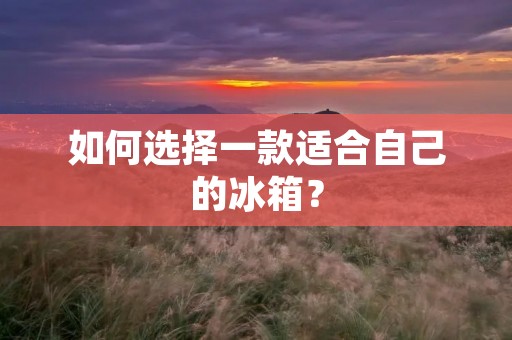 如何选择一款适合自己的冰箱？
