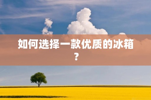 如何选择一款优质的冰箱？