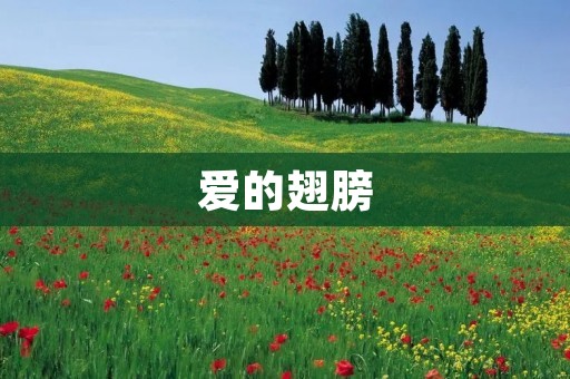 爱的翅膀:让爱飞翔 爱的翅膀:让爱飞翔