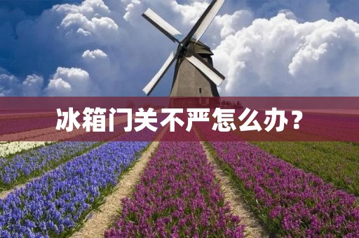 冰箱门关不严怎么办?