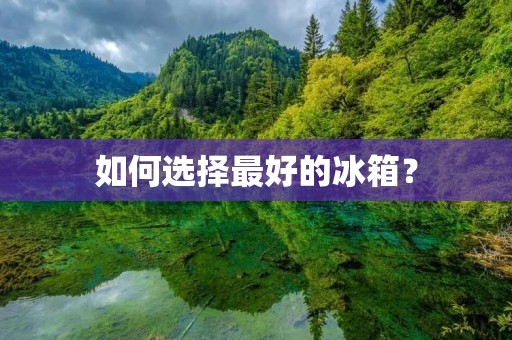 如何选择最好的冰箱? 如何选择最好的冰箱?